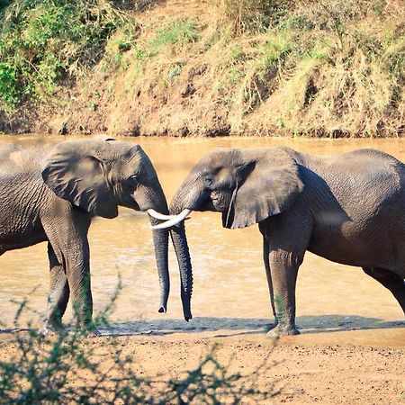 Mtomeni Safari Camp Hotel Phalaborwa Eksteriør billede
