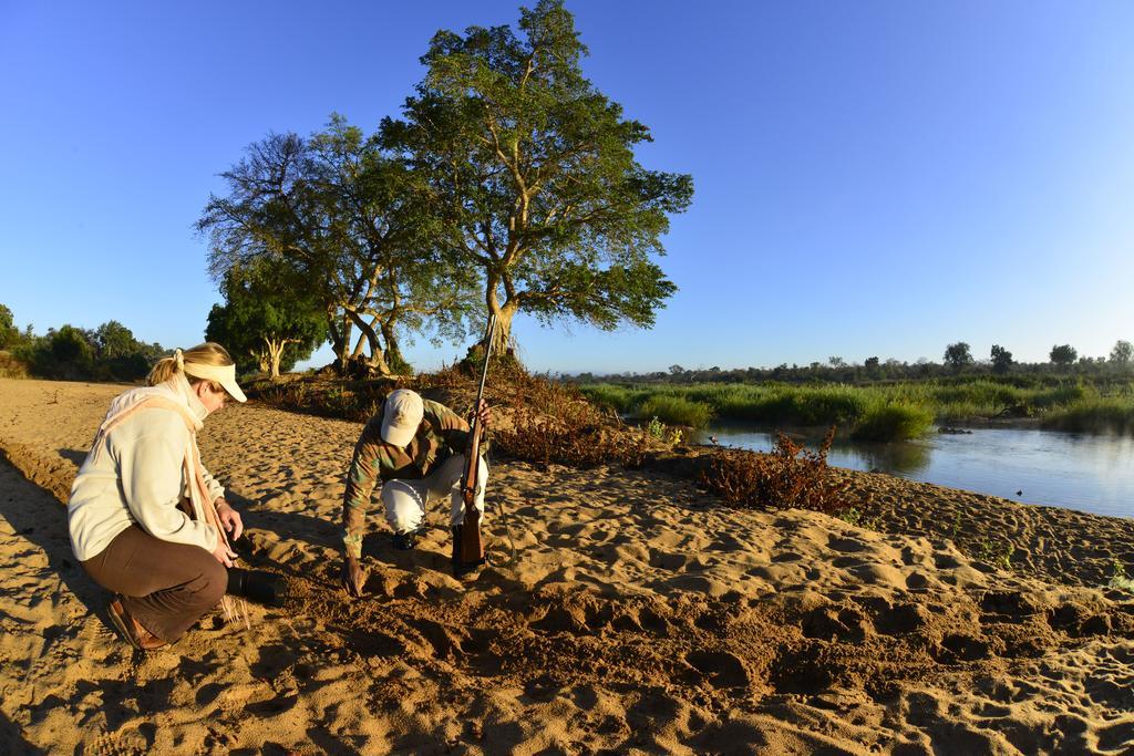 Mtomeni Safari Camp Hotel Phalaborwa Eksteriør billede