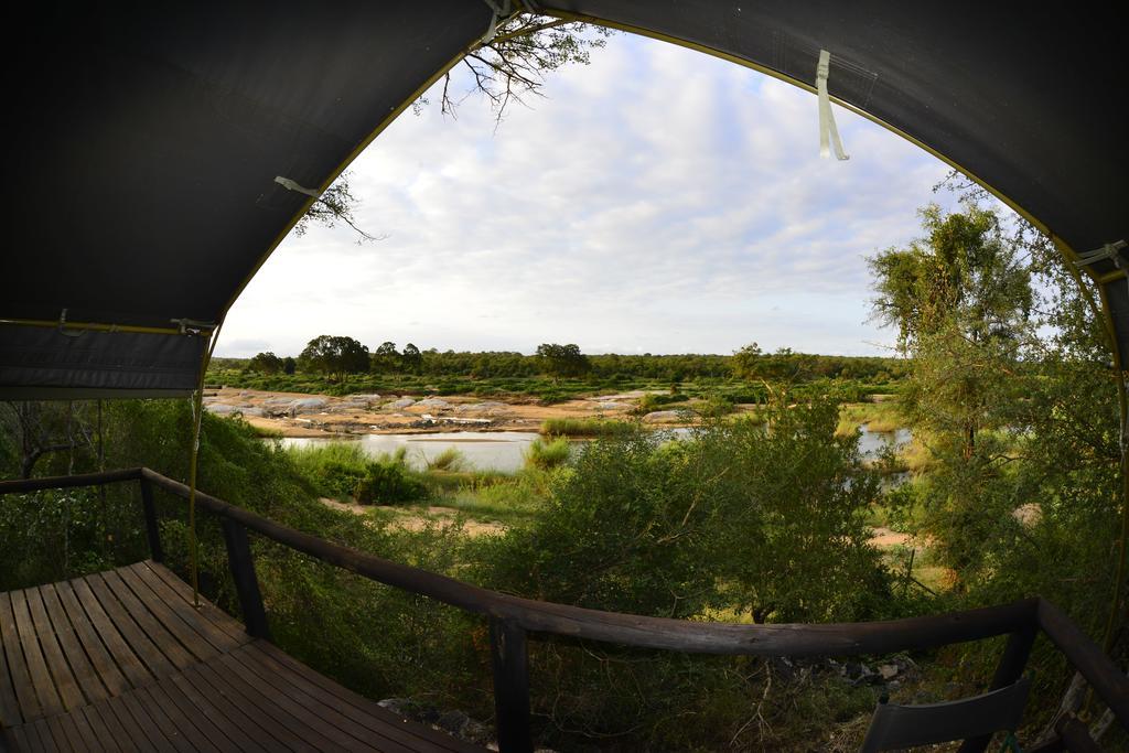 Mtomeni Safari Camp Hotel Phalaborwa Eksteriør billede