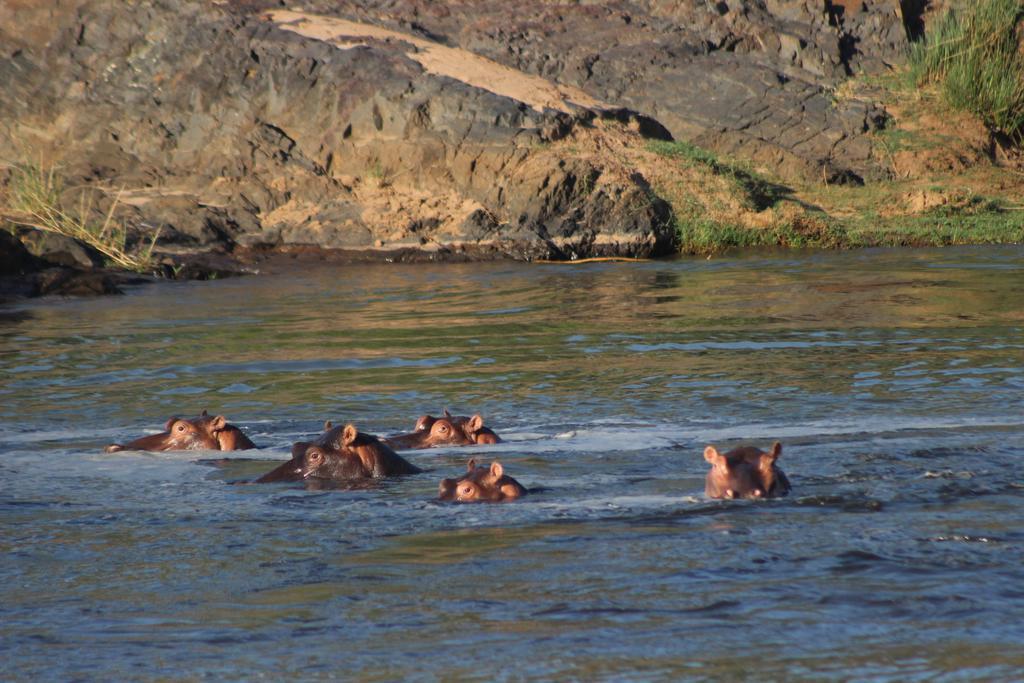 Mtomeni Safari Camp Hotel Phalaborwa Eksteriør billede