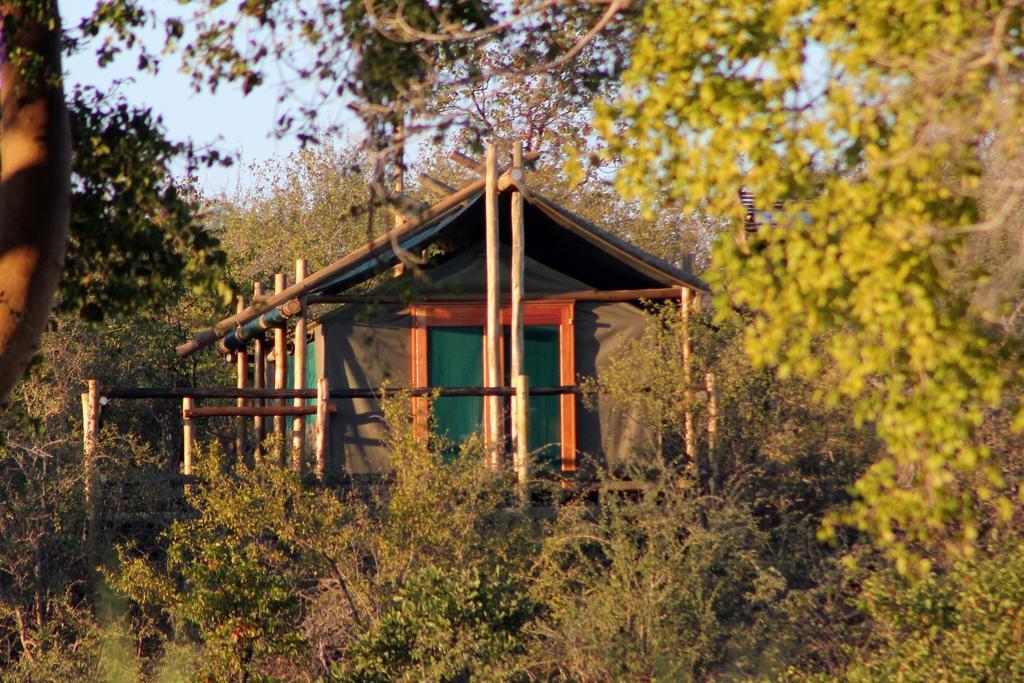 Mtomeni Safari Camp Hotel Phalaborwa Eksteriør billede