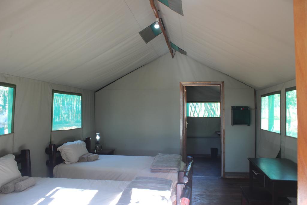 Mtomeni Safari Camp Hotel Phalaborwa Værelse billede