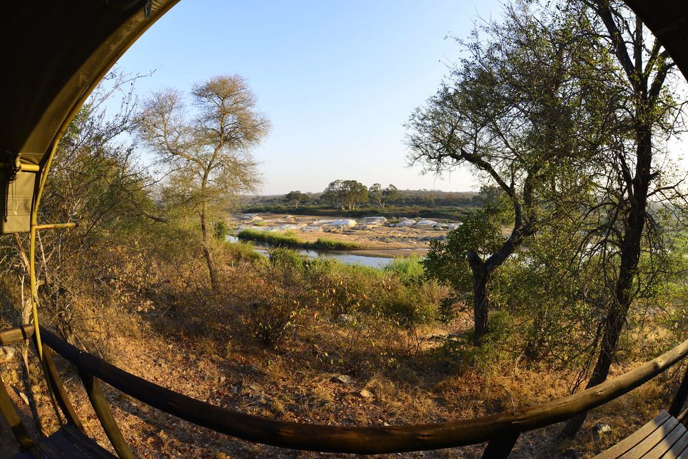 Mtomeni Safari Camp Hotel Phalaborwa Eksteriør billede